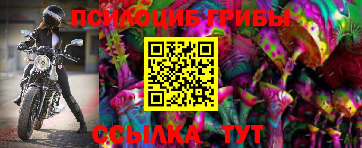 наркота  Псилоцибиновые грибы GOLDEN TEACHER  Галлюциногенные грибы мицелий  Вход с VPN  Воткинск 